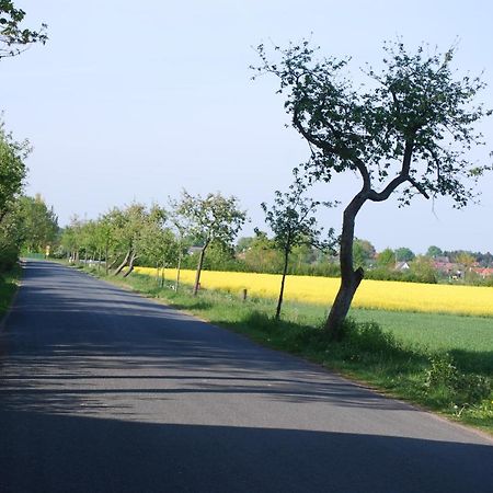 Ferienwohnung Im Gruenen - Hof Blohme Langwedel  Экстерьер фото