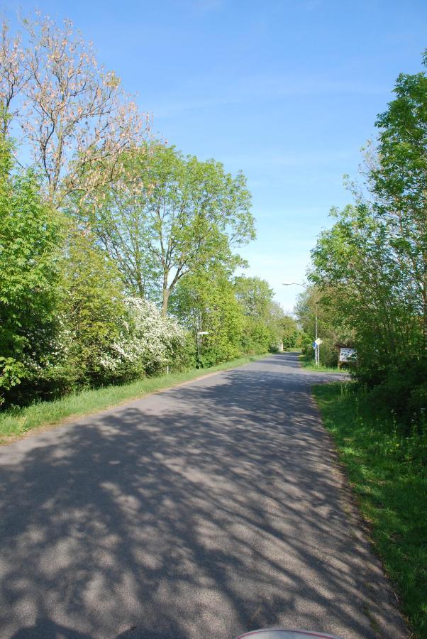 Ferienwohnung Im Gruenen - Hof Blohme Langwedel  Экстерьер фото